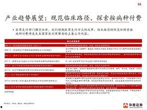 国产51页,揭秘中国科技发展的新篇章